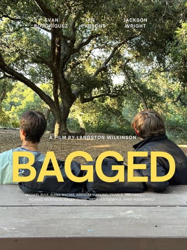 Bagged poster