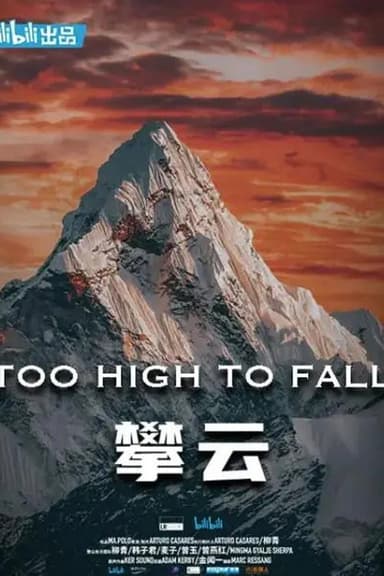 Too High To Fall poster