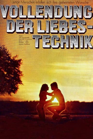 Vollendung der Liebestechnik poster