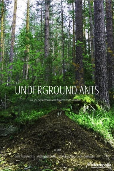 Underground Ants poster