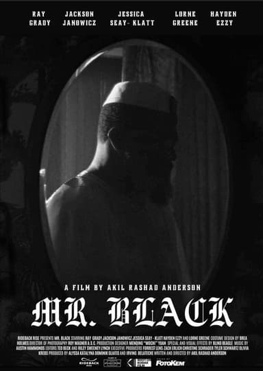 Mr. Black poster