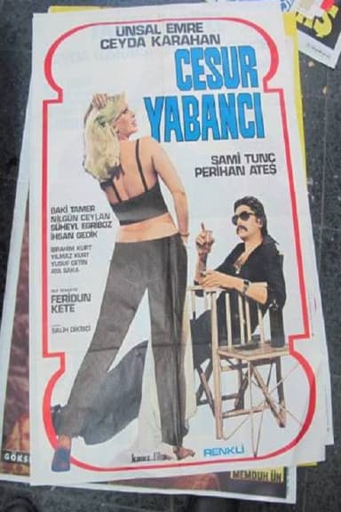 Cesur Yabancı poster