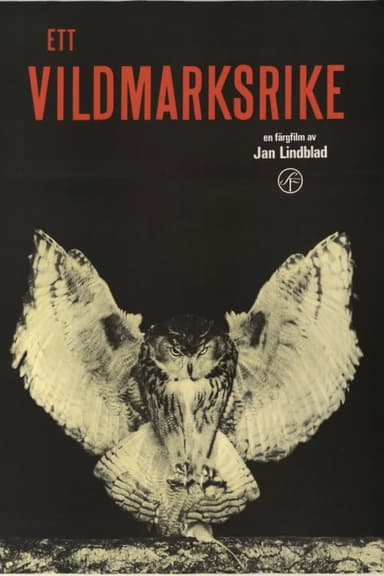 Ett vildmarksrike poster