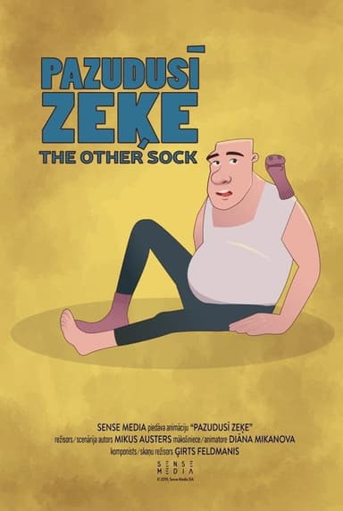 The Other Sock poster