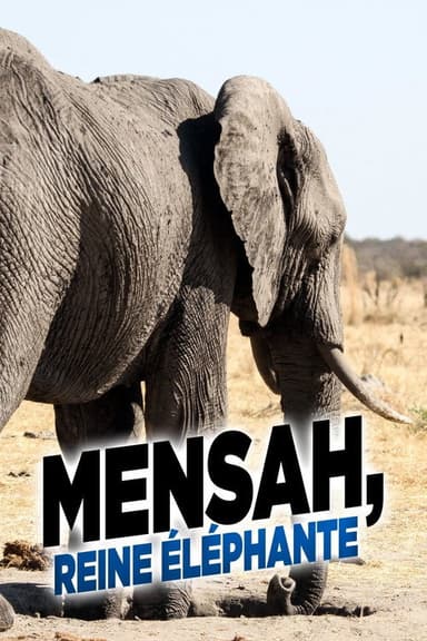 Elephant Queen poster