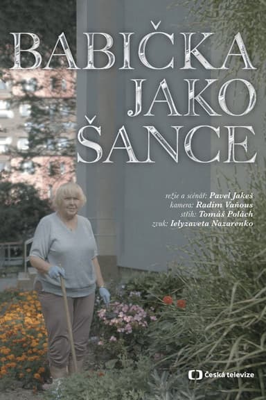 Babička jako Šance poster