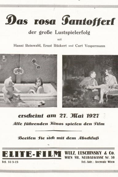 Das rosa Pantöffelchen poster