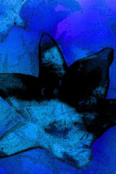 Blue Monet poster