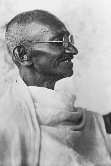 In Search of Gandhi poster