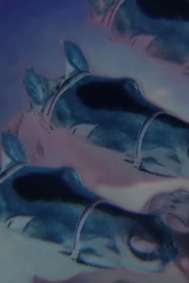 Drowning Horses poster
