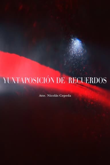 Yuxtaposición de recuerdos poster