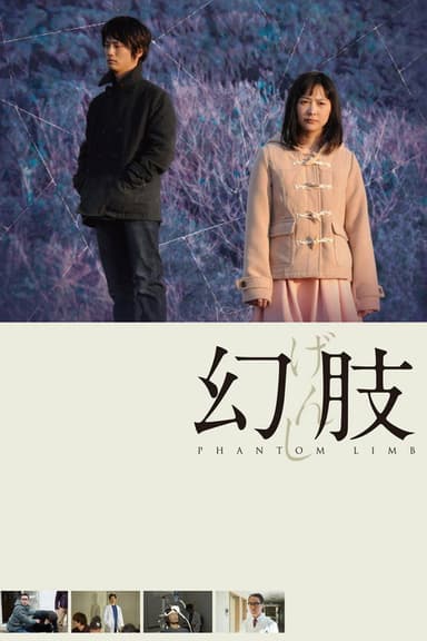 Phantom Limb poster