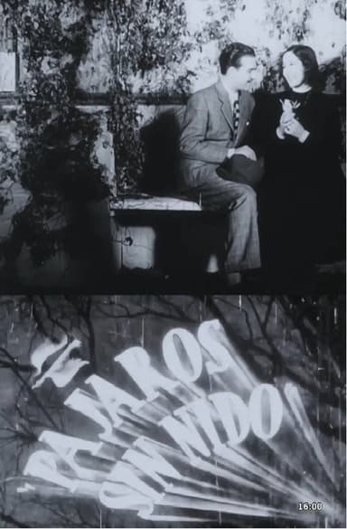 Pájaros sin nido poster