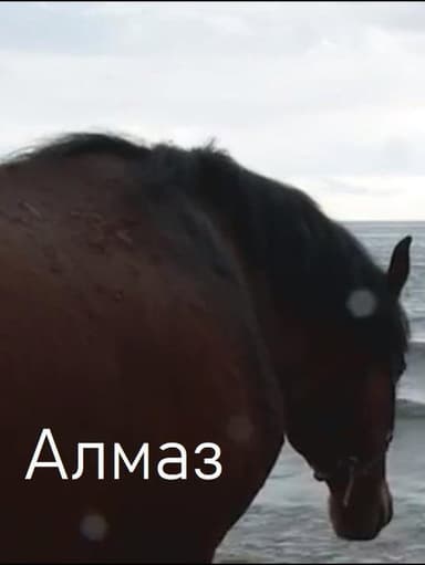 Almaz poster