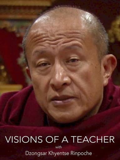 Visions of a Teacher poster