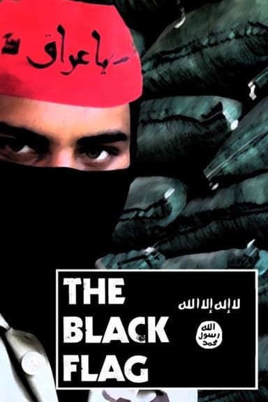 The Black Flag poster