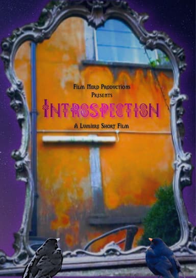 Introspection poster