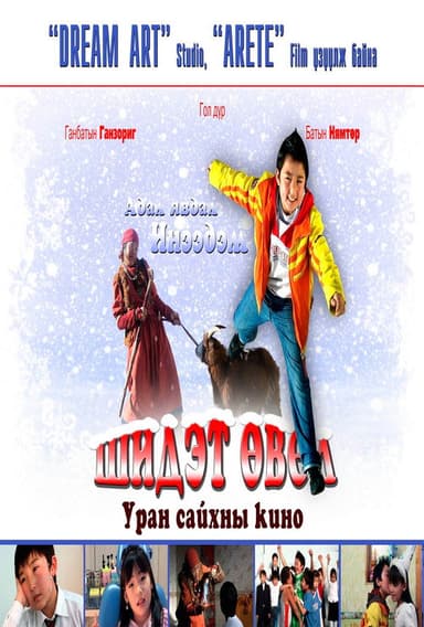 Magic Winter poster