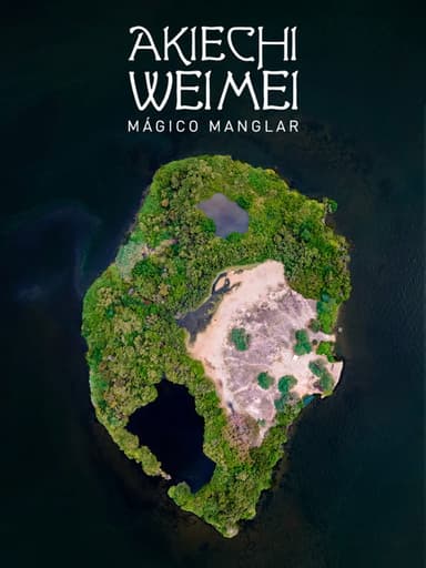Akiechi Weimei, Magical Mangrove poster