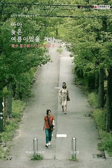 Before The Summer Passes Away poster