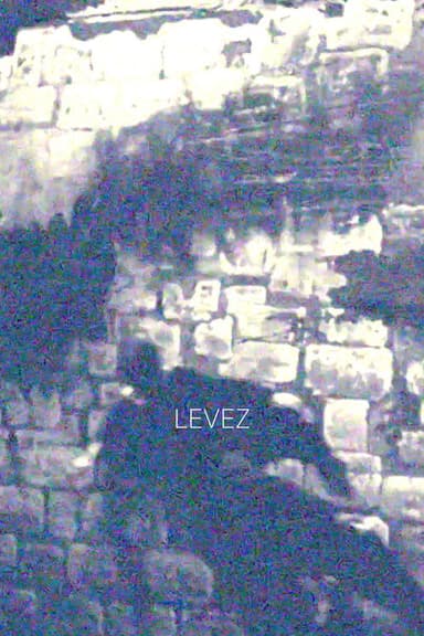 'LEVEZ' poster