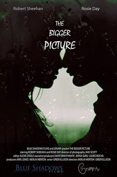 The Bigger Picture poster