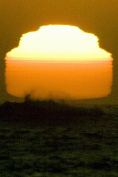 Sun (One Day Old) poster