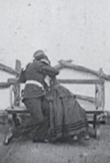 The Soldier's Courtship poster