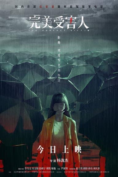 The Perfect Victim poster