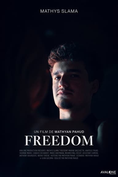 FREEDOM poster
