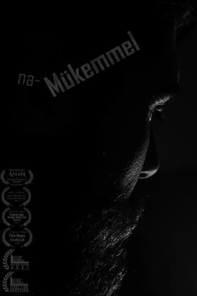Imperfect poster