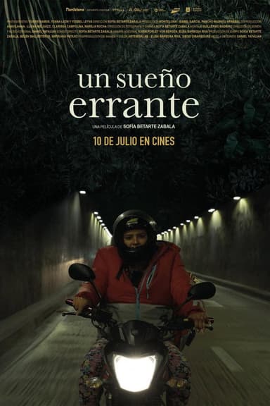 Un sueño errante poster