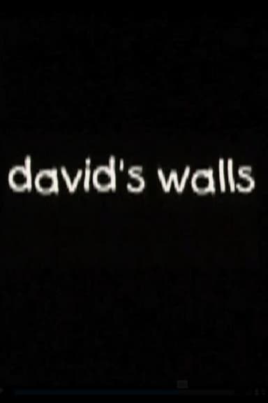 David's Walls poster