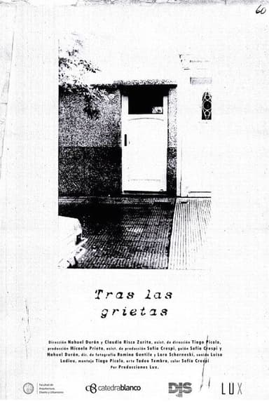 Through the Cracks poster