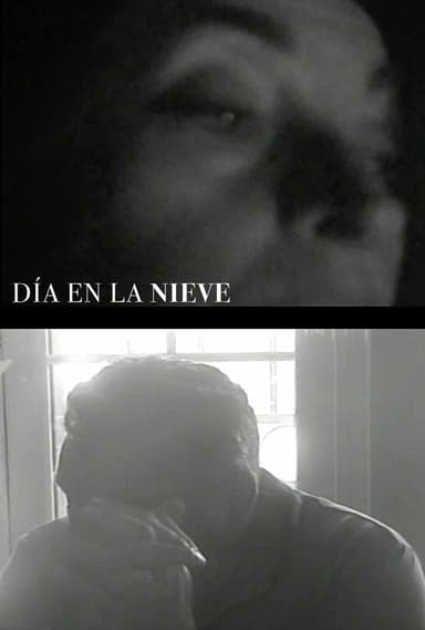 Día en la nieve poster