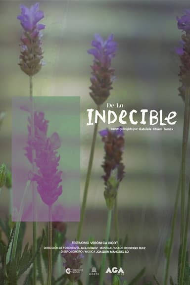De lo Indecible poster