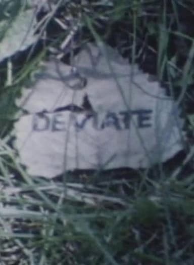 Deviate poster