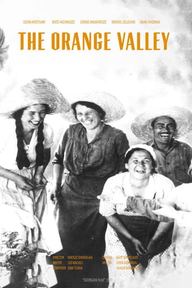 The Orange Valley poster