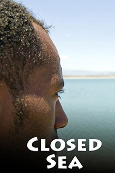 Mare chiuso poster