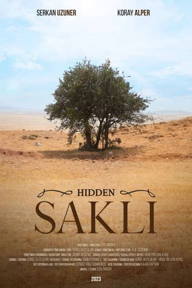 Hidden poster