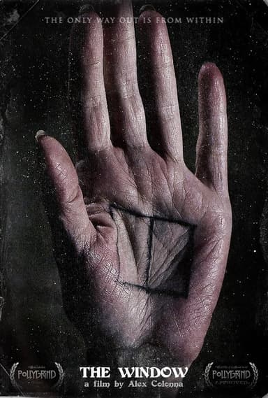 The Window poster