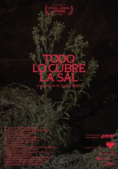 Todo lo cubre la sal poster