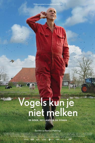 The Godwit was here poster