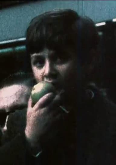 Apples poster
