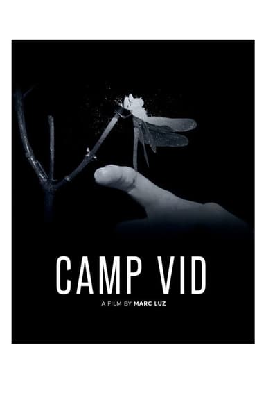 Camp Vid poster