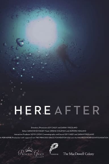 Here After poster