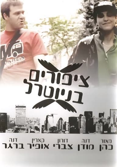 Birds In Neutral poster