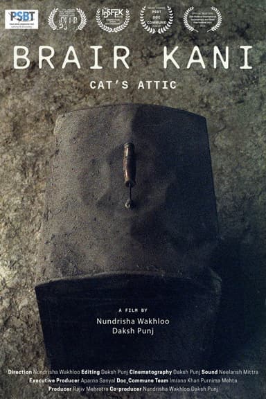 Cat's Attic poster