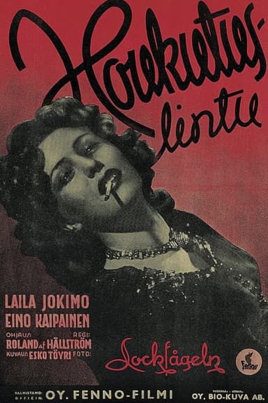 Houkutuslintu poster