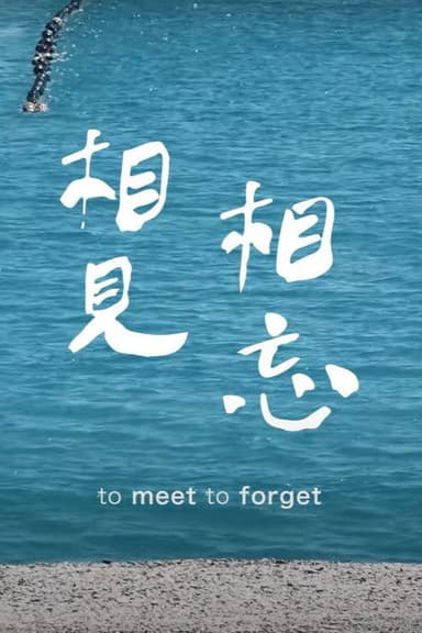 To Meet to Forget poster